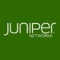 juniper